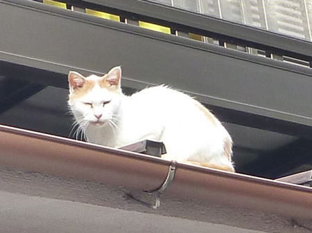 歯科の帰り