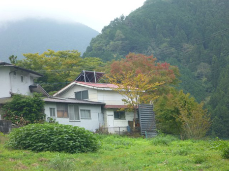 青根蕎麦の刈り取り