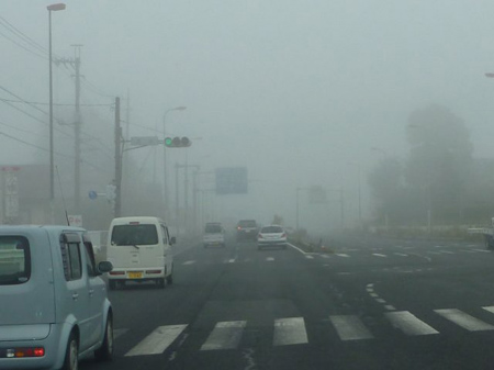 霧に包まれて