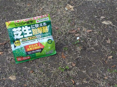 みかん&キウィの収穫