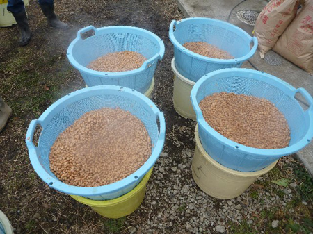 津久井大豆味噌仕込み(後編)