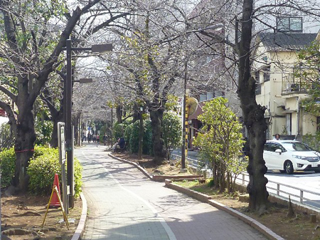 元都電軌道の緑土