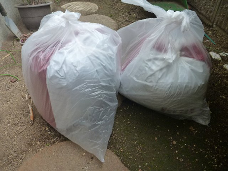 根小屋での手伝い