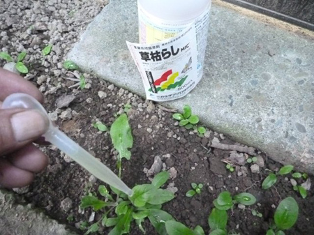 除草剤の効果