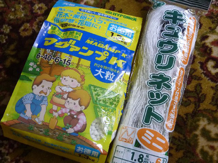わらびの仕込み方