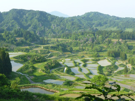 棚田巡り