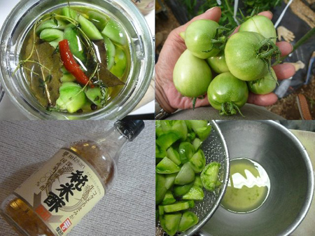 青根蕎麦畑の手入れ