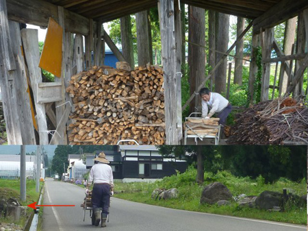 十日町援農