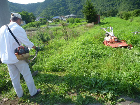 雑草を叩く