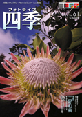 �t�H�g���C�t�l�G Vol.61