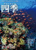 �t�H�g���C�t�l�G Vol.65