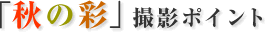 �u�H�̍ʁv�B�e�|�C���g