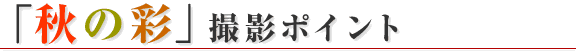 ���W �ʐ^�� ���c���c��