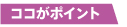 �|�C���g