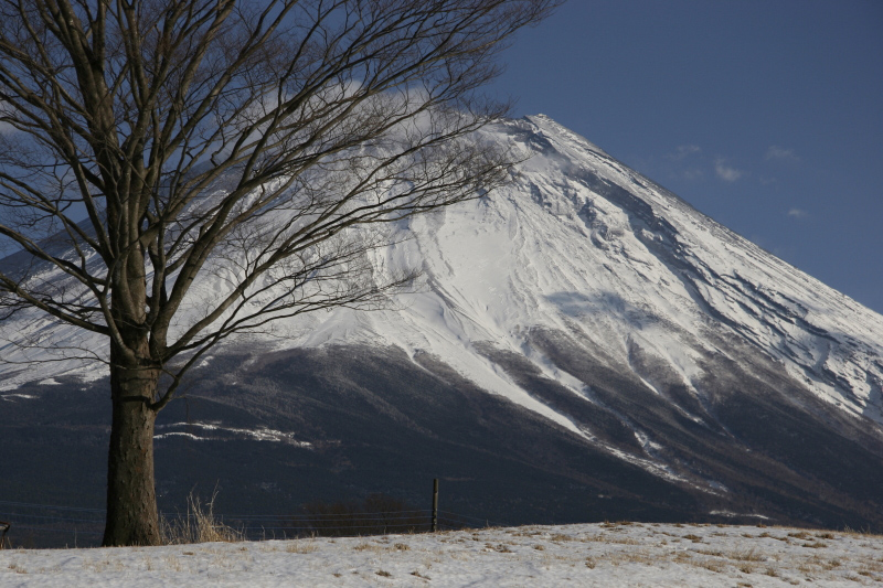 2月初頭の富士山