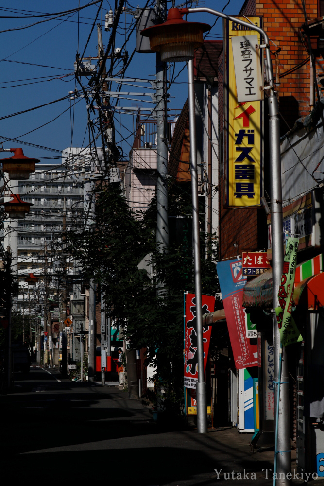 複雑に電線が絡む昔の商店街