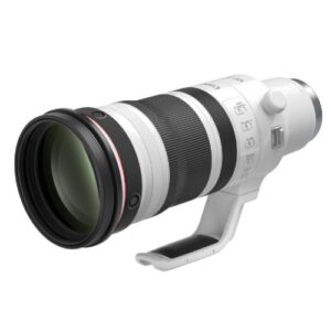 RF100-300mm F2.8 L IS USM