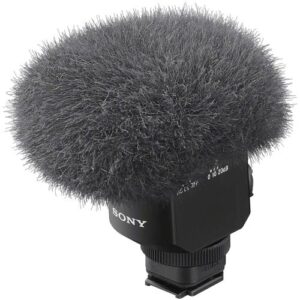 ECM-M1