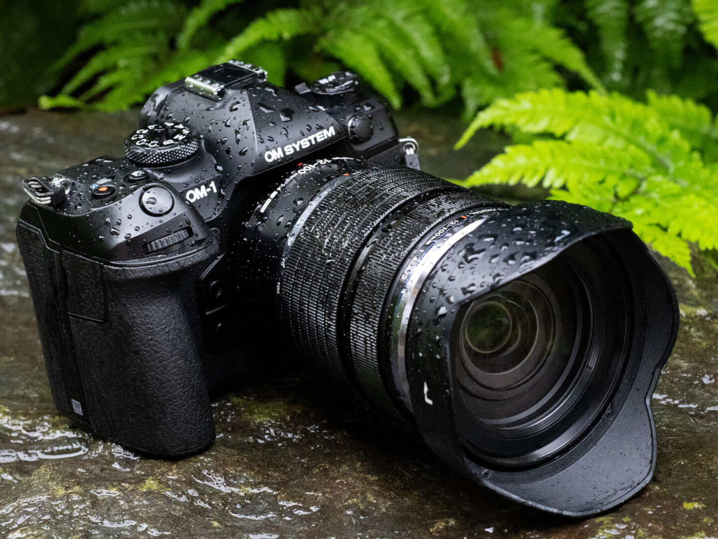 絶対的な信頼性と先進技術を兼ね備えた職人気質の二代目カメラ OM SYSTEM OM-1 Mark II
