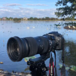 ネイチャースナップのすすめ｜キヤノン EOS 7D Mark IIで撮る水辺の冬鳥