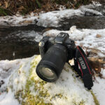ネイチャースナップのすすめ｜カメラを使いやすくカスタマイズしよう【EOS R5編】
