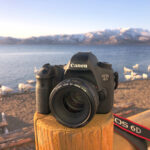 ネイチャースナップのすすめ｜旧モデルで始める一眼レフ キヤノン EOS 6D