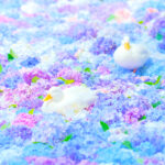 紫陽花をもっと可愛く！むらいさち流撮影術♪