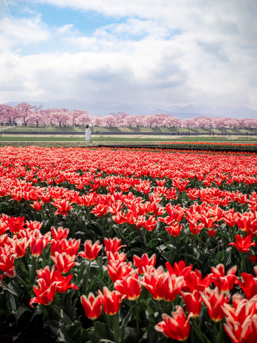 旅行で綺麗なぽつん写真を撮るコツ｜KANEKO