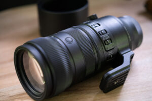 シグマ 70-200mm F2.8 DG DN OS | Sportsで撮る旅の記録