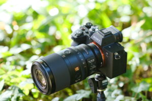 ソニー FE 100mm F2.8 Macro GM OSS｜フルモデルチェンジでさらなるマクロ撮影が楽しめるG Masterレンズ
