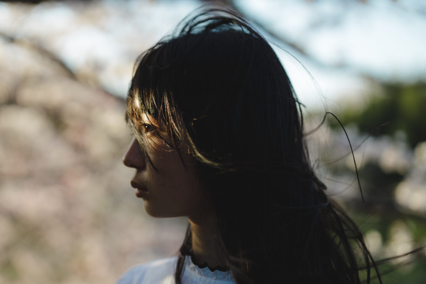 圧倒的描写力で想像以上の美しさを写し出す キヤノン RF50mm F1.2 L USM