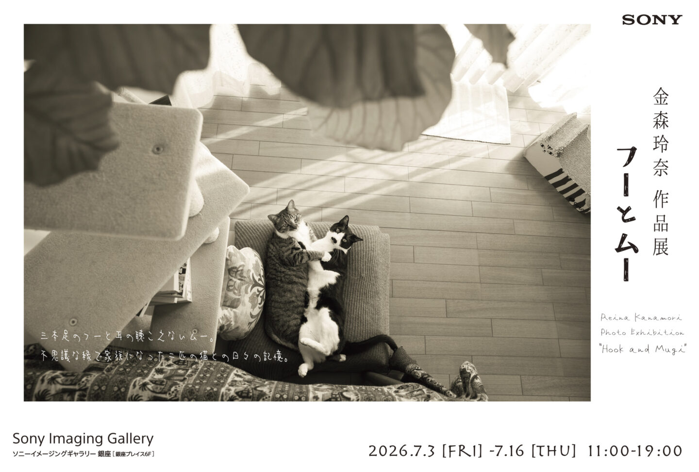 金森玲奈作品展「フーとムー」2026年7月3日～16日＠ソニーイメージングギャラリー 銀座