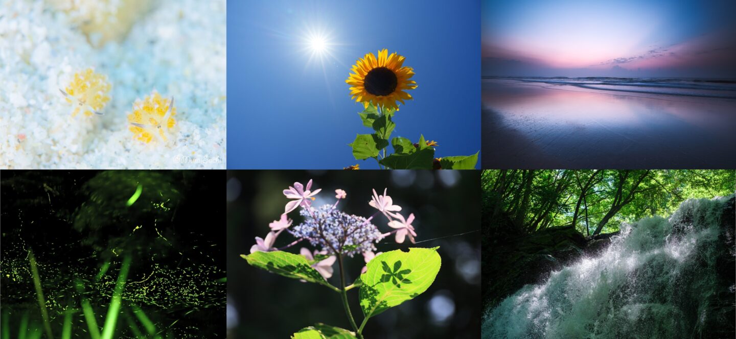 プロカメラマンが紹介する『夏風景の撮り方6選』