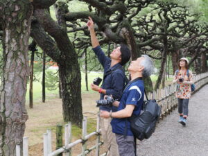 OM SYSTEM OM-1 Mark IIとOM-3を持って観光と撮影を楽しもう 栗林公園 撮影会レポート