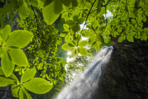 α7R シリーズの枠を超える進化 ソニー α7R VI｜萩原れいこ