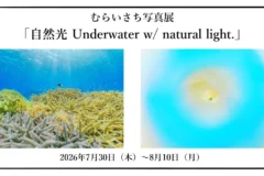 むらいさち 写真展「自然光 Underwater w/ natural light.」｜2026年7月30日～8月10日＠OM SYSTEM GALLERY
