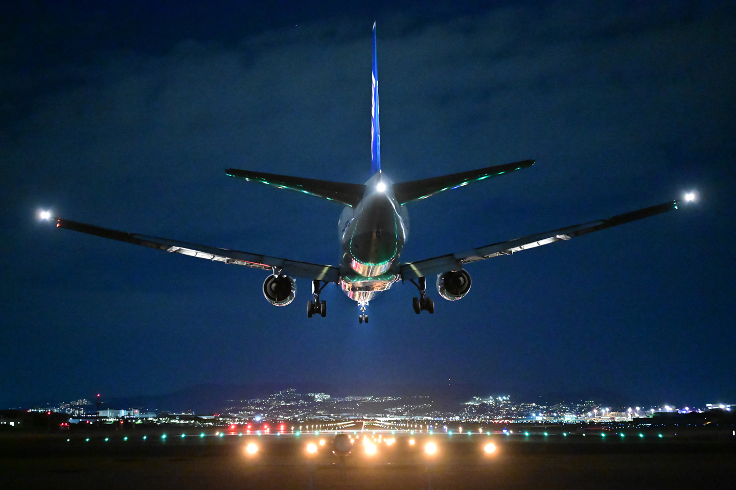 ニコン Z6IIIの野鳥/飛行機撮影能力