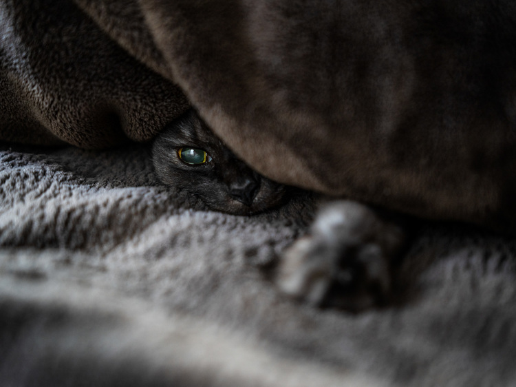 002_シグマ 28-70mm F28 DG DN Contemporaryで撮影した作例.jpg