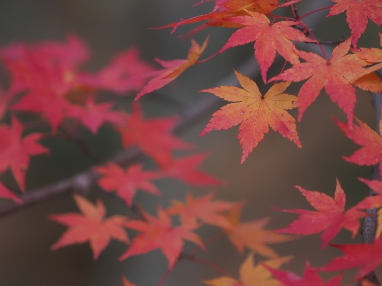 01.クロスプロセス1_Natural.jpg