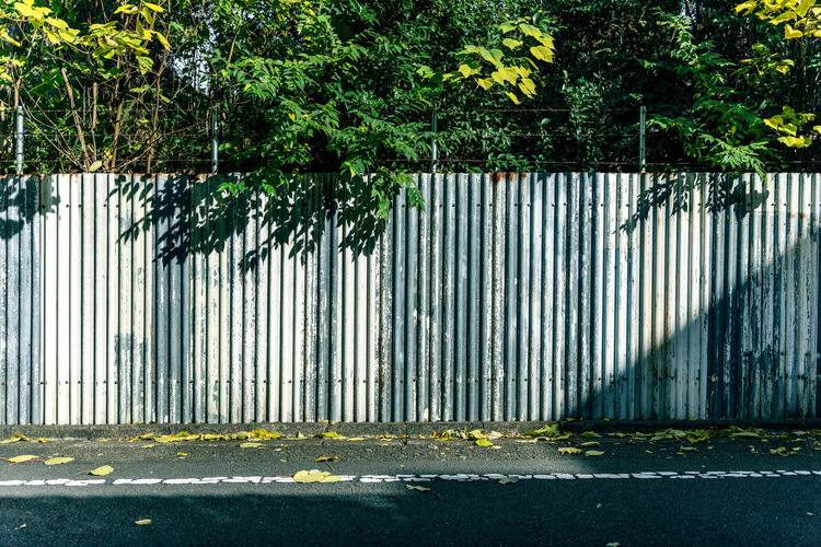 014_シグマ 28-70mm F28 DG DN Contemporaryで撮影した作例.jpg