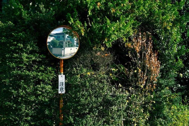 015_シグマ 28-70mm F28 DG DN Contemporaryで撮影した作例.jpg