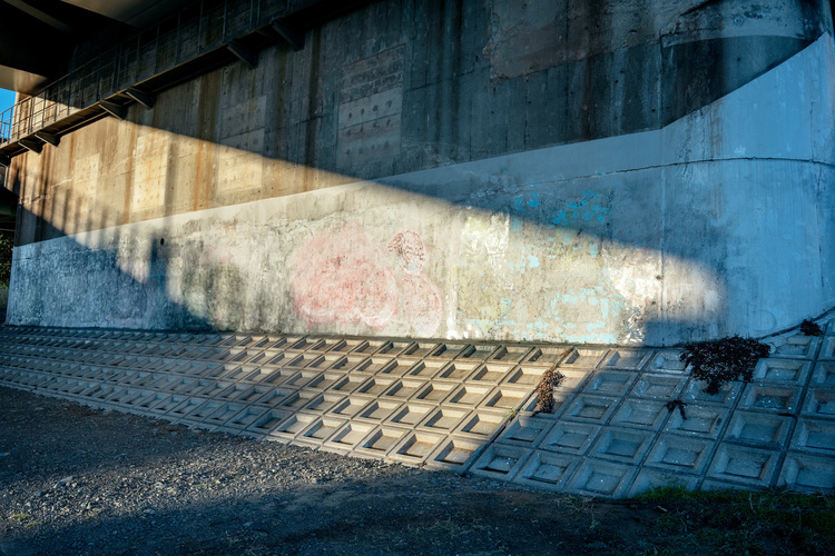 018_シグマ 28-70mm F28 DG DN Contemporaryで撮影した作例.jpg