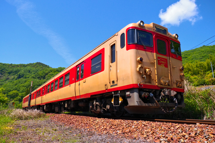 ペンタックス K-3 Mark III作例21.jpg