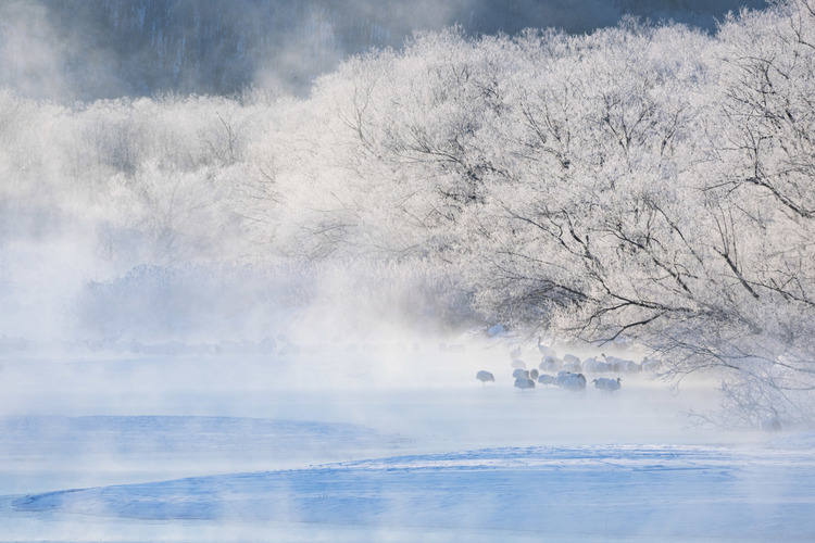 北海道での撮影写真1.jpg