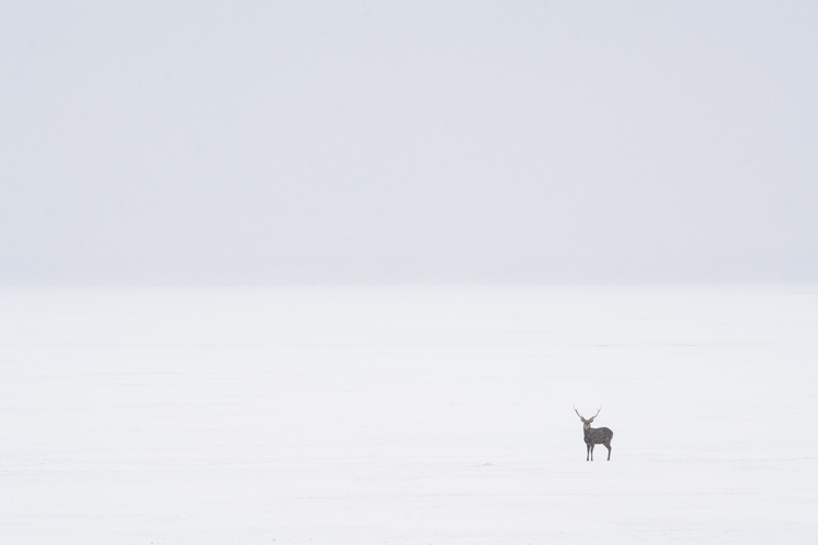 北海道での撮影写真8.jpg