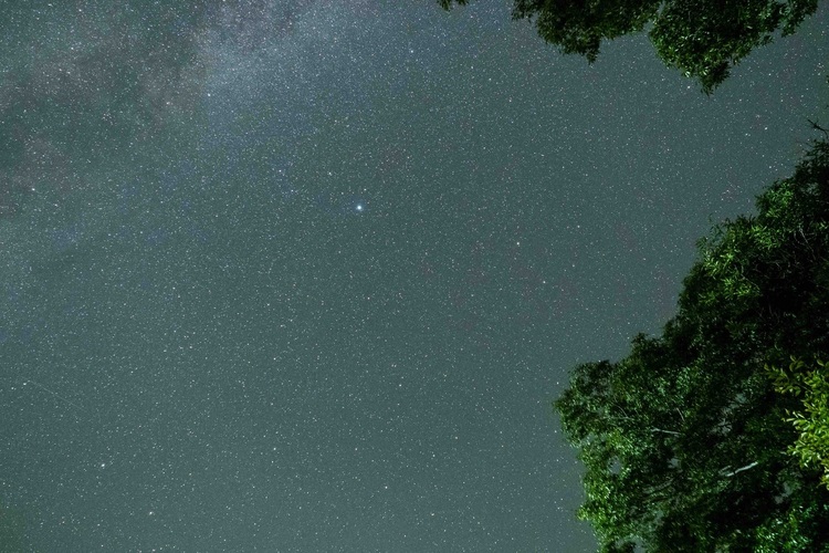 星空の撮影方法009.jpg