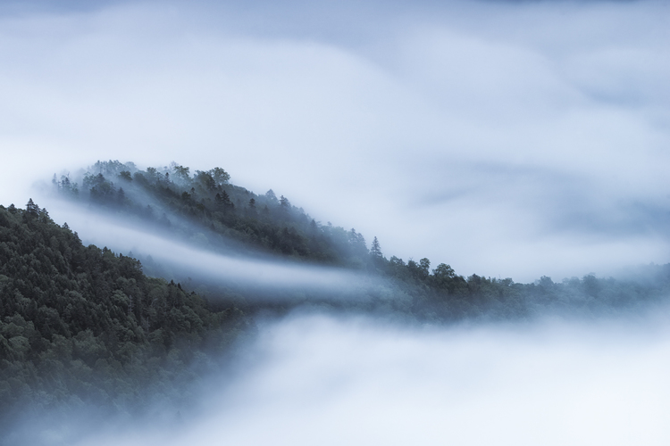 菴應セ・_DSC0015-Edit.jpg