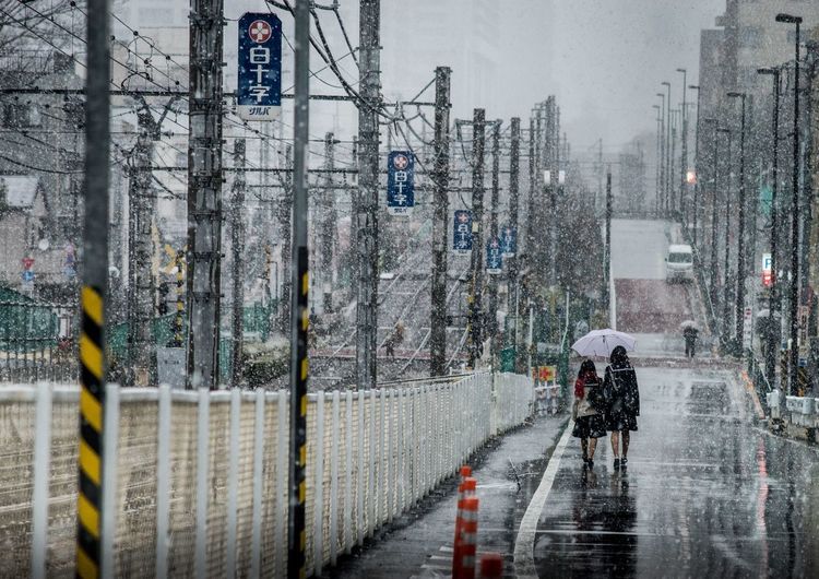 雑司ヶ谷1.jpg