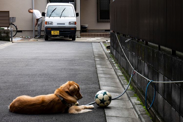 雑司ヶ谷2.jpg