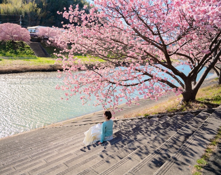佐藤俊斗 × ポートレート vol.2 | 春を印象的に写し出す桜撮影テクニック